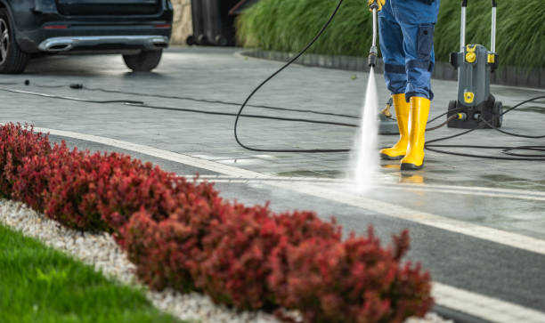 Why Choose Our Certified Pressure Washing Experts for Your Project Needs in Ellijay, GA?